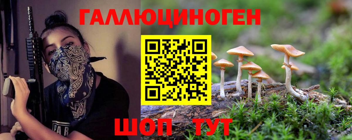 Псилоцибиновые грибы ЛСД Ахтубинск