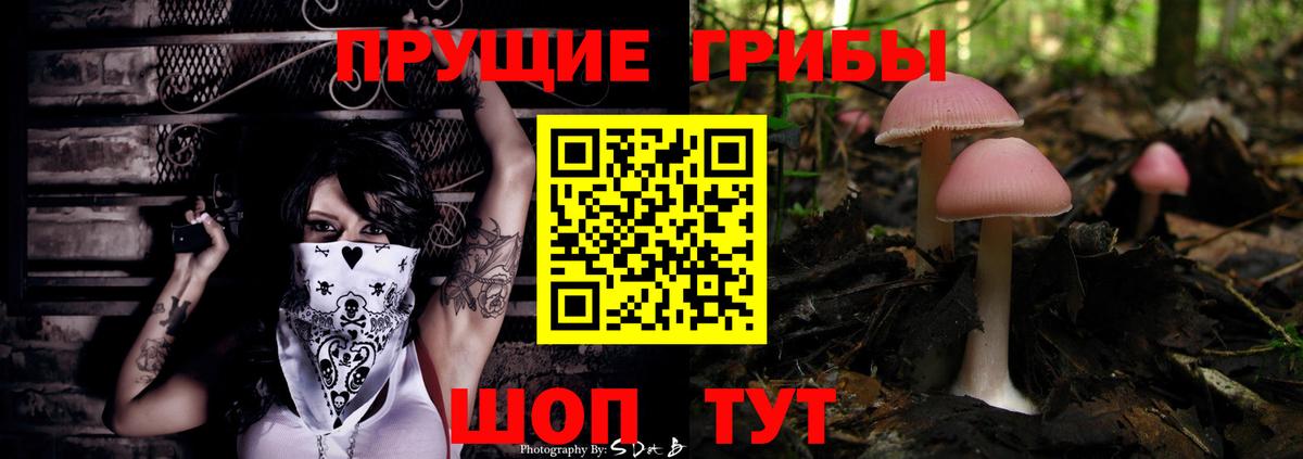 Галлюциногенные грибы GOLDEN TEACHER  Вход с VPN  Ахтубинск 